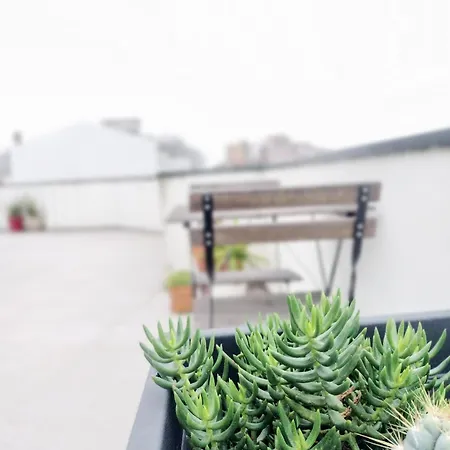 Marques Rooftop Al Apartment Porto